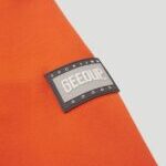 GEEDUP FL 20 b0470c10 698e 46ce 9c82 17e7cbdcb301 150x188